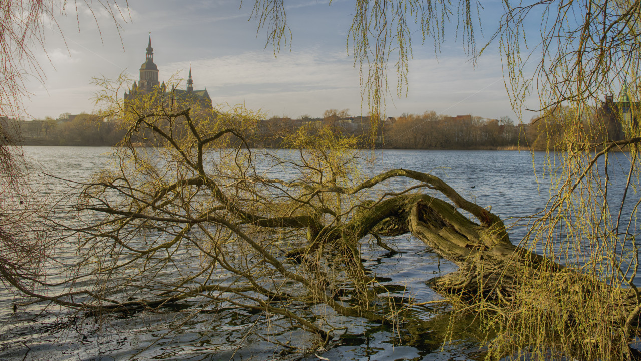 Am Frankenteich in Stralsund